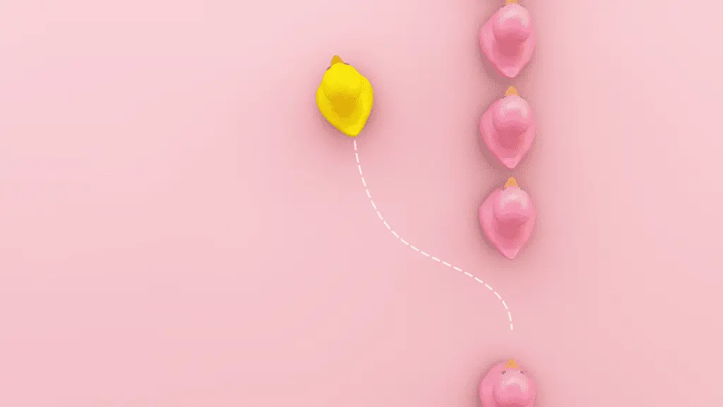 rubber duck